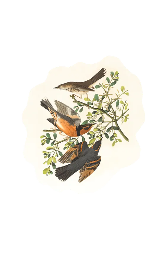 メインイメージ